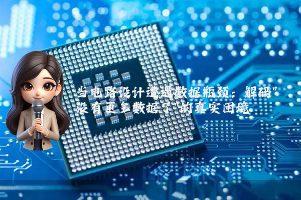 当电路设计遭遇数据瓶颈：解码